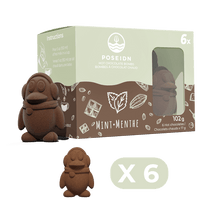 Charger l'image dans la galerie, Chocolat chaud - Menthe