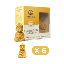 Load image into Gallery viewer, Golden Milk
