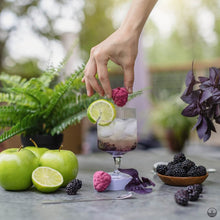 Load image into Gallery viewer, Sangria - Blackberry, Green Apple &amp; Vanilla
